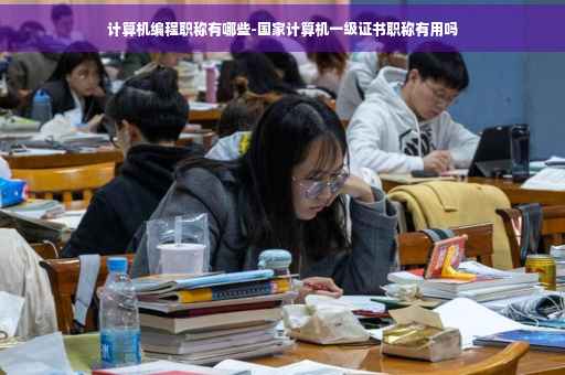计算机编程职称有哪些-国家计算机一级证书职称有用吗