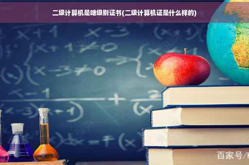 二级计算机是啥级别证书(二级计算机证是什么样的)