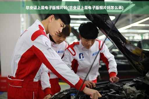 毕业证上是电子版相片吗(毕业证上是电子版相片吗怎么弄) 毕业证上是电子版相片吗(毕业证上是电子版相片吗怎么弄)
