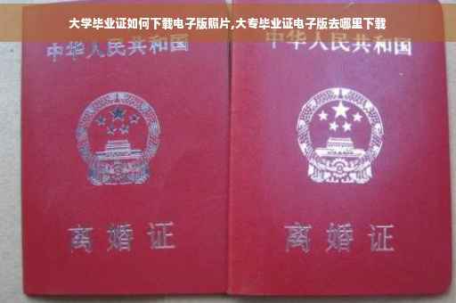大学毕业证如何下载电子版照片,大专毕业证电子版去哪里下载