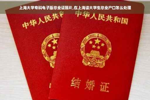 上海大学专科电子版毕业证图片,在上海读大学生毕业户口怎么处理