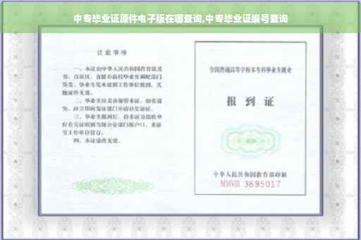 中专毕业证原件电子版在哪查询,中专毕业证编号查询