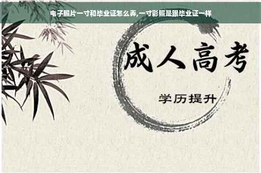 电子照片一寸和毕业证怎么弄,一寸彩照是跟毕业证一样