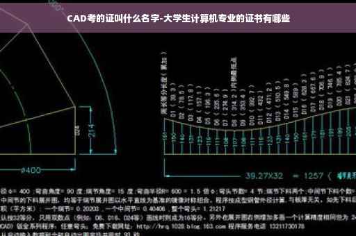 CAD考的证叫什么名字-大学生计算机专业的证书有哪些