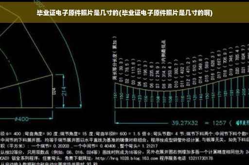 毕业证电子原件照片是几寸的(毕业证电子原件照片是几寸的啊)