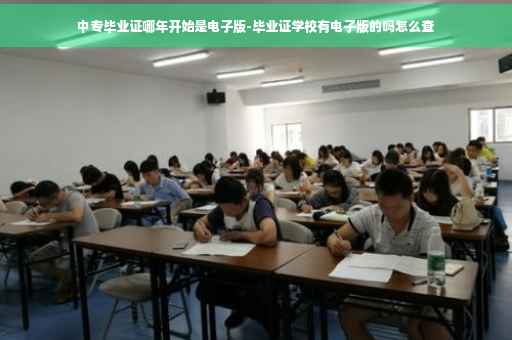 中专毕业证哪年开始是电子版-毕业证学校有电子版的吗怎么查