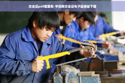 毕业证pdf哪里有-学信网毕业证电子版模板下载
