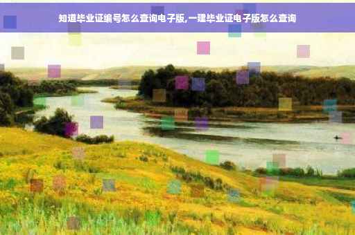知道毕业证编号怎么查询电子版,一建毕业证电子版怎么查询
