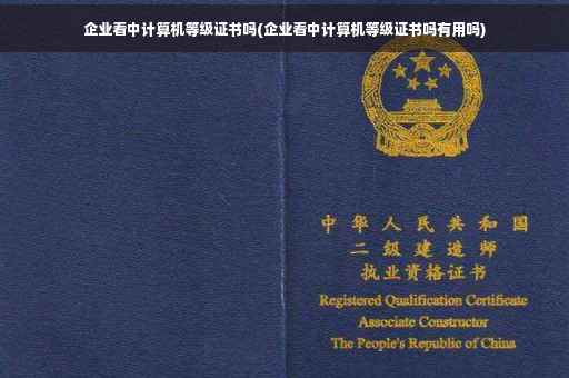 企业看中计算机等级证书吗(企业看中计算机等级证书吗有用吗)