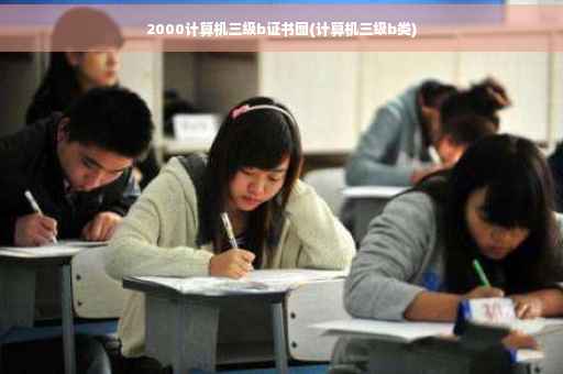 2000计算机三级b证书图(计算机三级b类)