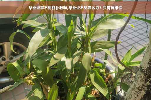 毕业证拿不到能补救吗,毕业证不见怎么办？只有复印件