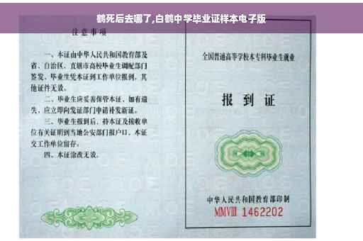 鹤死后去哪了,白鹤中学毕业证样本电子版