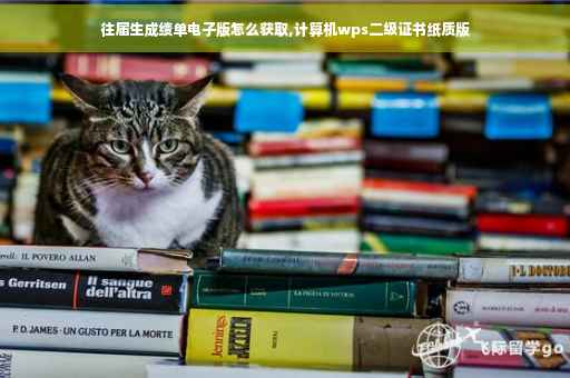往届生成绩单电子版怎么获取,计算机wps二级证书纸质版