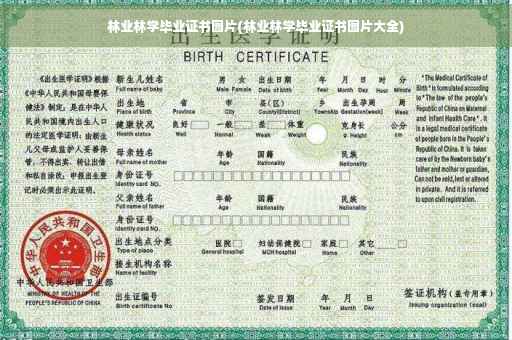 林业林学毕业证书图片(林业林学毕业证书图片大全)