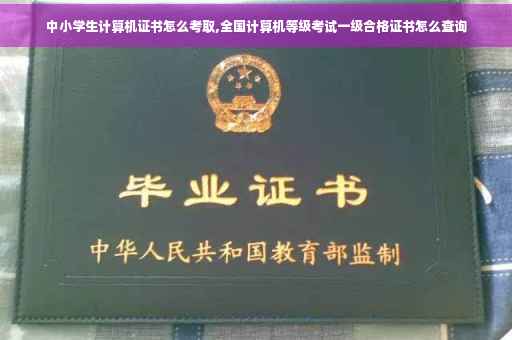 中小学生计算机证书怎么考取,全国计算机等级考试一级合格证书怎么查询