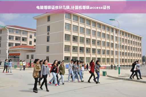 电脑等级证书分几级,计算机等级access证书