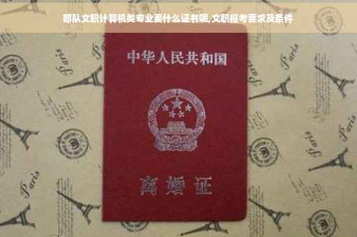 部队文职计算机类专业要什么证书呢,文职报考要求及条件