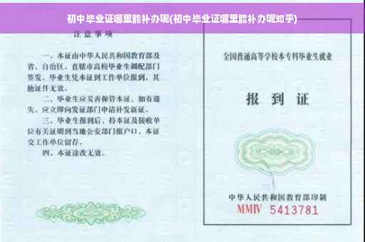 初中毕业证哪里能补办呢(初中毕业证哪里能补办呢知乎)