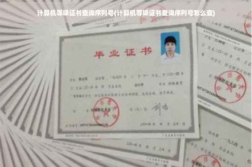 计算机等级证书查询序列号(计算机等级证书查询序列号怎么查)
