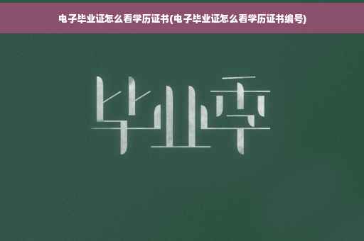 电子毕业证怎么看学历证书(电子毕业证怎么看学历证书编号)