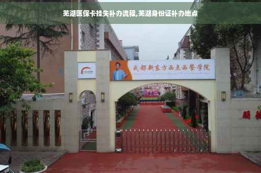 芜湖医保卡挂失补办流程,芜湖身份证补办地点