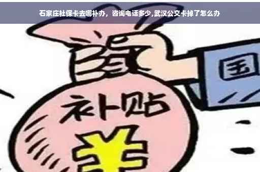 石家庄社保卡去哪补办，咨询电话多少,武汉公交卡掉了怎么办