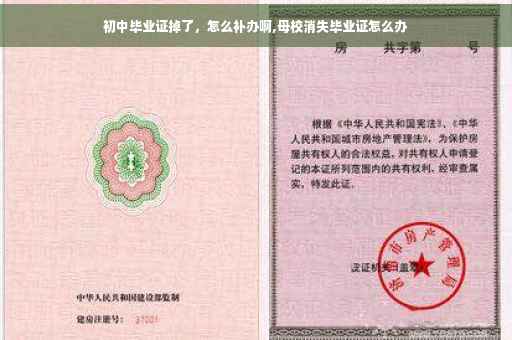 初中毕业证掉了，怎么补办啊,母校消失毕业证怎么办