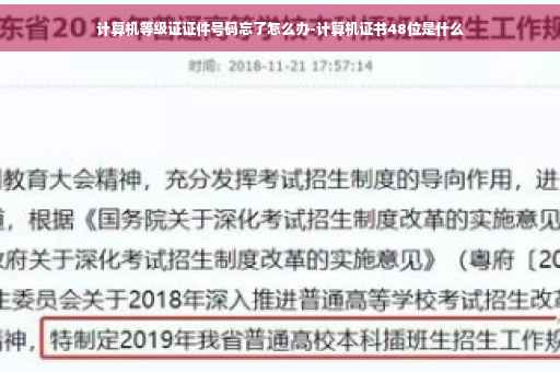 计算机等级证证件号码忘了怎么办-计算机证书48位是什么