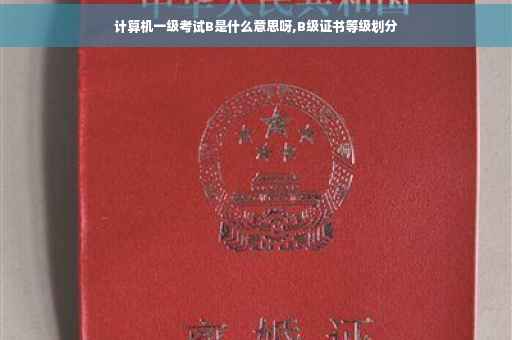 计算机一级考试B是什么意思呀,B级证书等级划分
