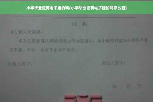 小学毕业证有电子版的吗(小学毕业证有电子版的吗怎么查)