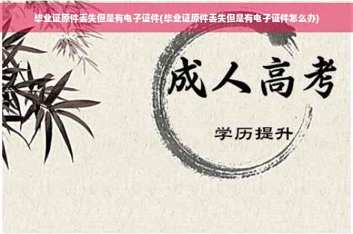 毕业证原件丢失但是有电子证件(毕业证原件丢失但是有电子证件怎么办)