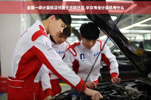 全国一级计算机证书属于市级还是,中文专业计算机考什么 全国一级计算机证书属于市级还是,中文专业计算机考什么
