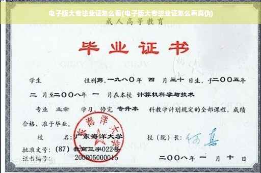 电子版大专毕业证怎么看(电子版大专毕业证怎么看真伪)