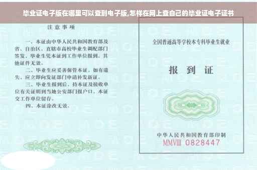 毕业证电子版在哪里可以查到电子版,怎样在网上查自己的毕业证电子证书