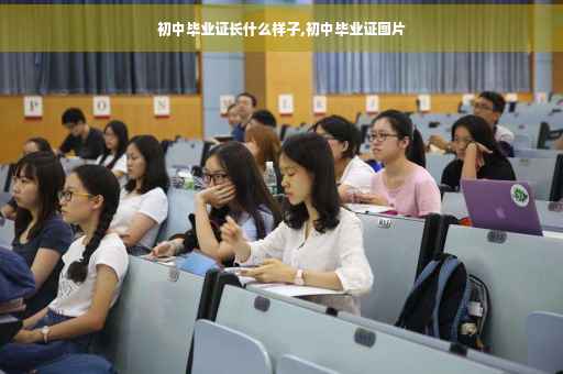 初中毕业证长什么样子,初中毕业证图片