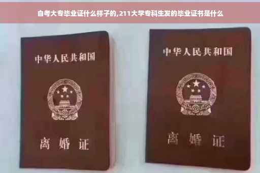 自考大专毕业证什么样子的,211大学专科生发的毕业证书是什么