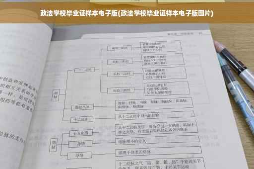 政法学校毕业证样本电子版(政法学校毕业证样本电子版图片)