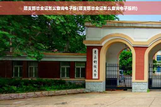 团支部毕业证怎么查询电子版(团支部毕业证怎么查询电子版的)