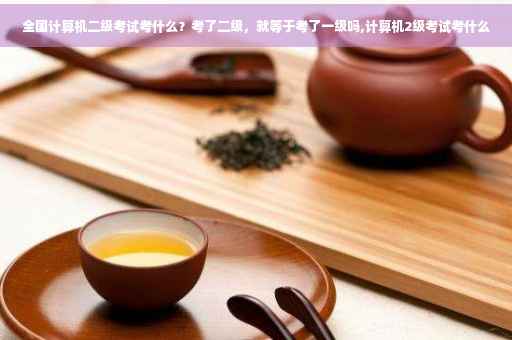 全国计算机二级考试考什么？考了二级，就等于考了一级吗,计算机2级考试考什么