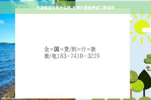 计算机证书长什么样,大学计算机考试二级证书