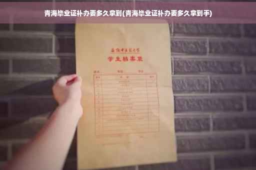 青海毕业证补办要多久拿到(青海毕业证补办要多久拿到手)
