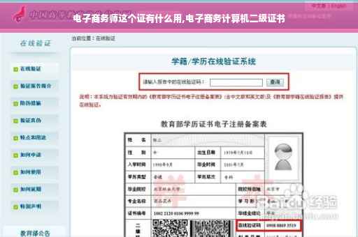 电子商务师这个证有什么用,电子商务计算机二级证书