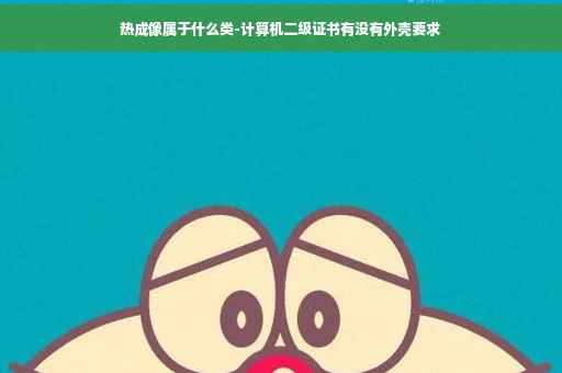 热成像属于什么类-计算机二级证书有没有外壳要求