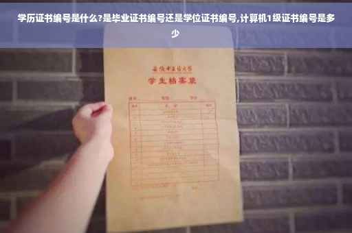 学历证书编号是什么?是毕业证书编号还是学位证书编号,计算机1级证书编号是多少