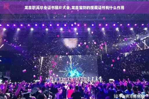 龙泉职高毕业证书图片大全,龙泉宝剑的搜藏证书有什么作用