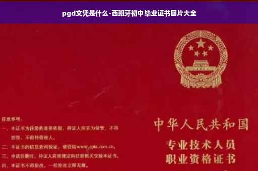 pgd文凭是什么-西班牙初中毕业证书图片大全
