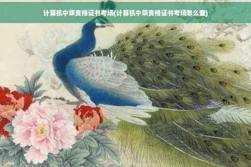 计算机中级资格证书考场(计算机中级资格证书考场怎么查) 计算机中级资格证书考场(计算机中级资格证书考场怎么查)