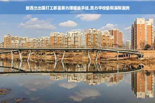 新西兰出国打工都需要办理哪些手续,民办学校偷税漏税案例