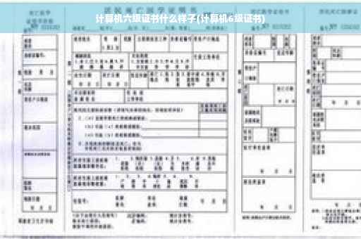 计算机六级证书什么样子(计算机6级证书)