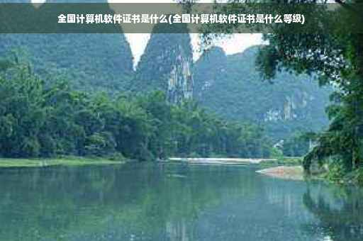 全国计算机软件证书是什么(全国计算机软件证书是什么等级)